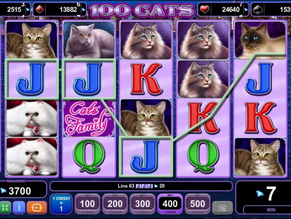100 Cats عملية اللعبة